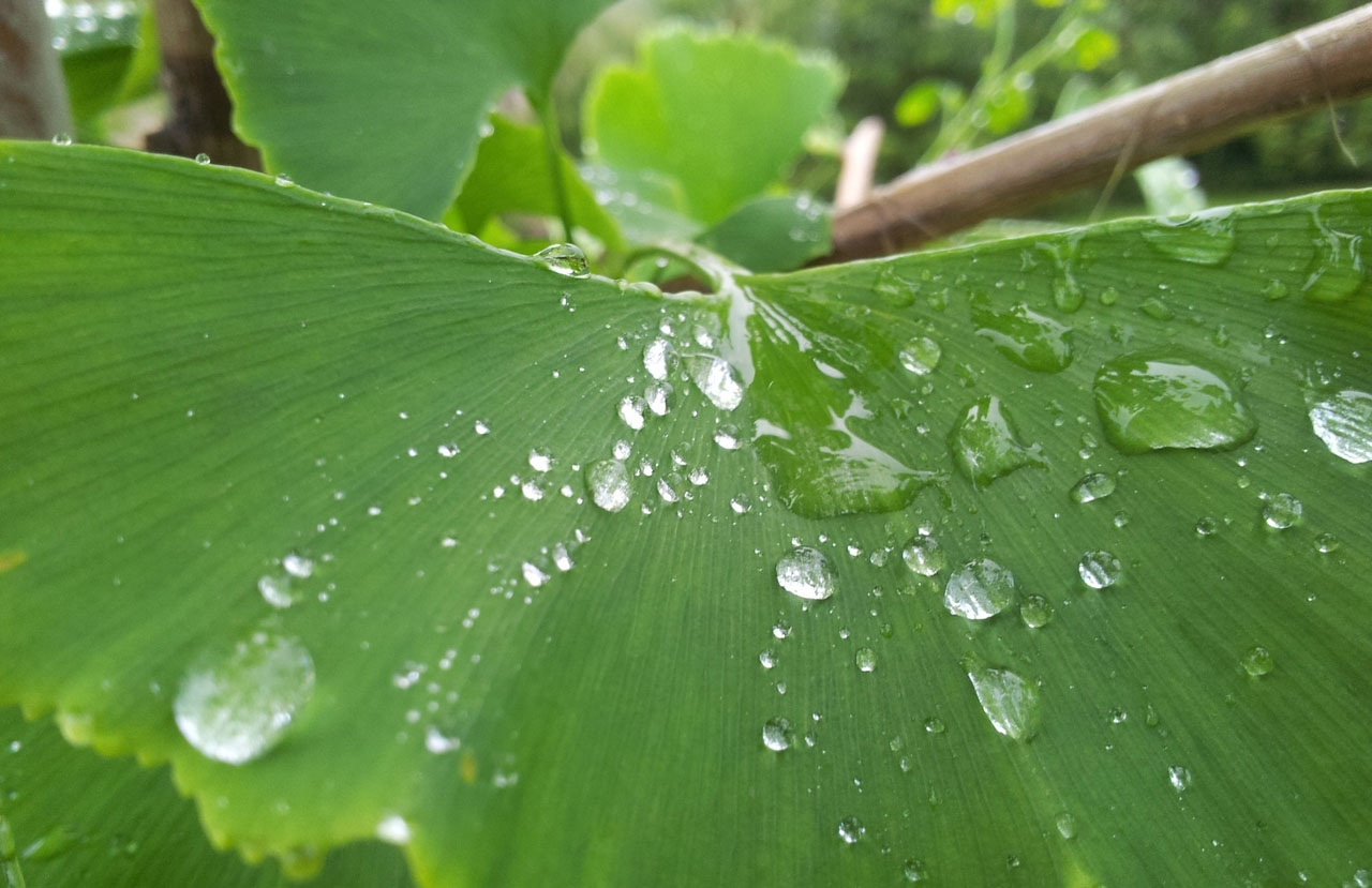 ddos免费测试